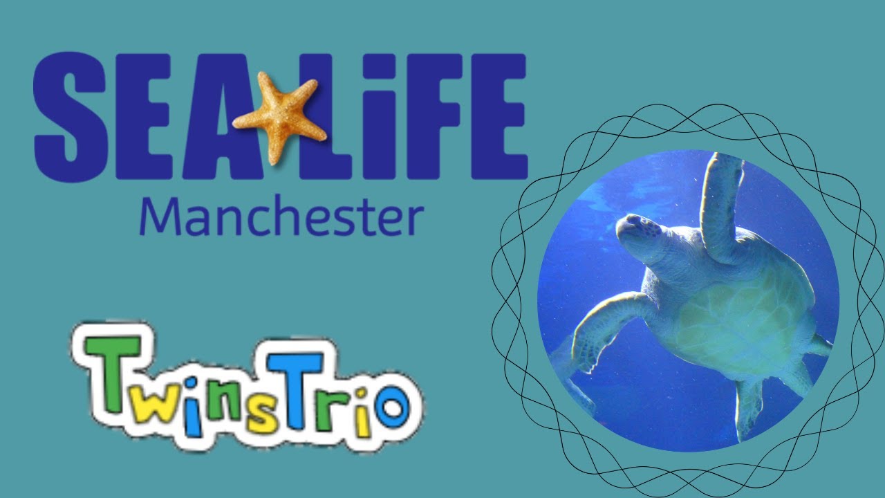 Sealife Manchester - 12/02/2022