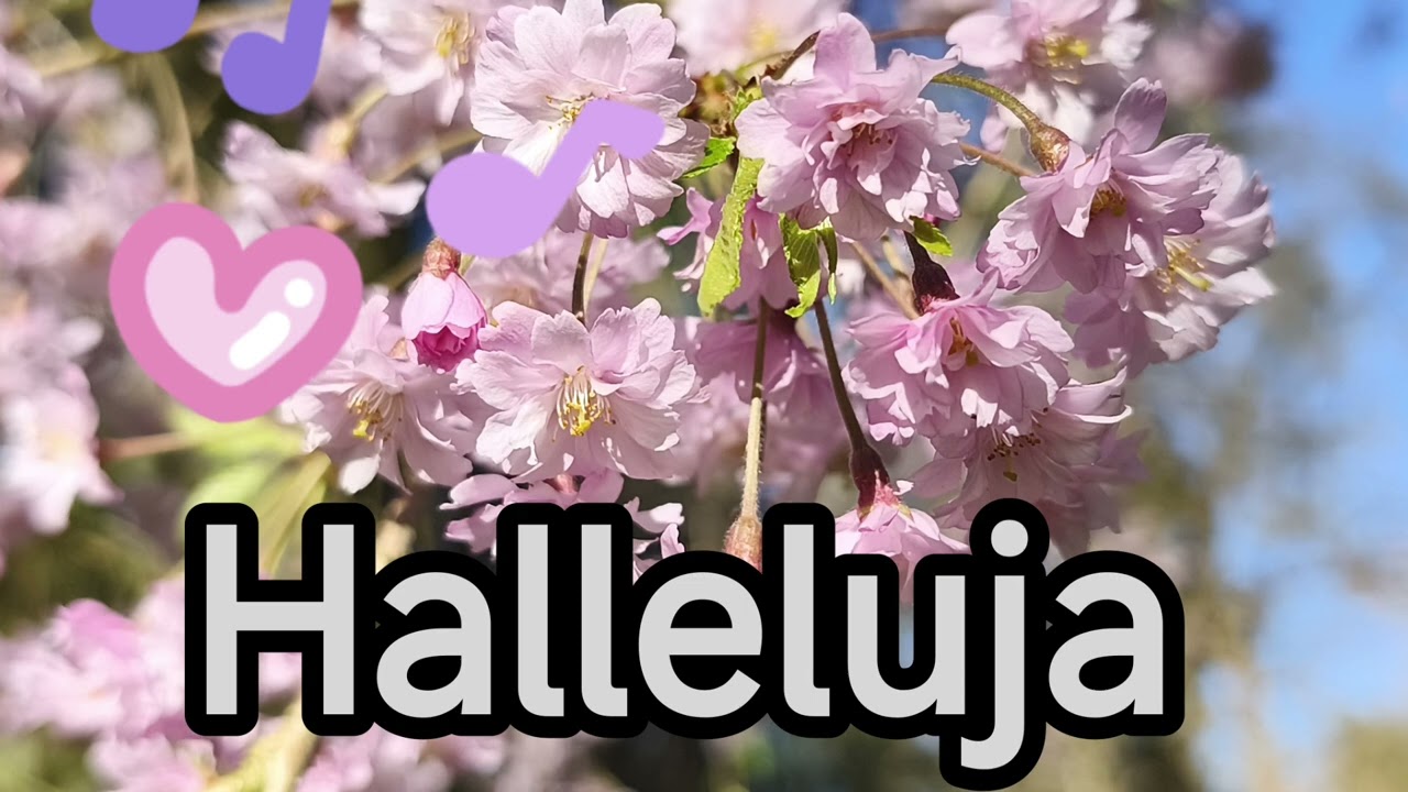 Aléluia