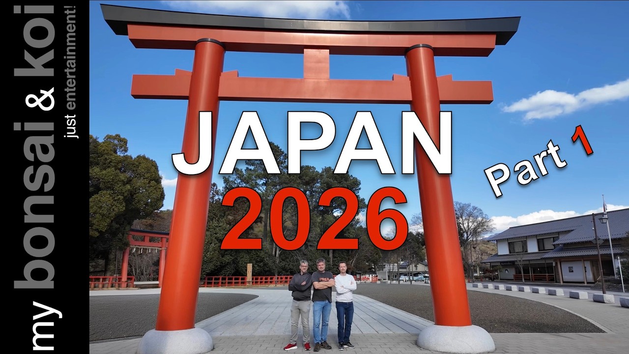 JAPAN 2026 - Part 1 - #japan #bonsai #tokyo #kyoto #kokufu