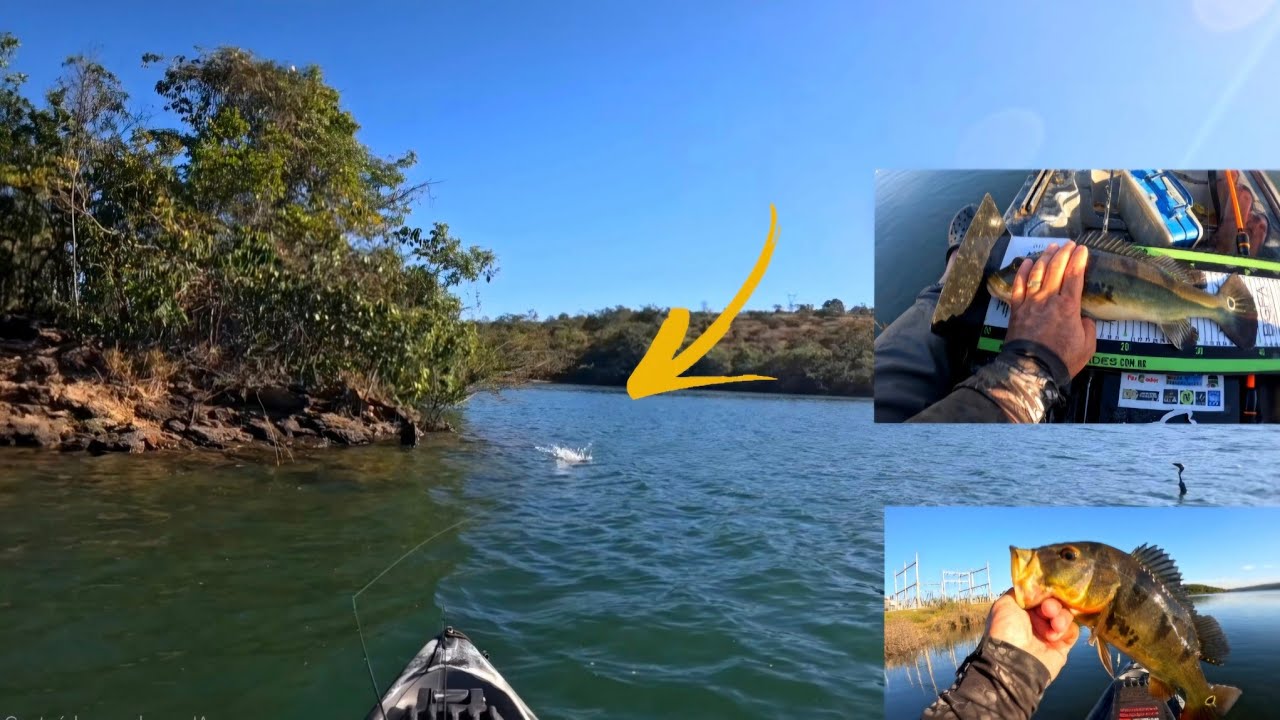 Ganhei meu primeiro prêmio na pescaria esportiva. Lago Corumba 4.
