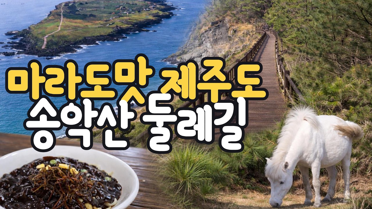 마라도는 짜장면이죠? 대한민국 최남단 마라도에서 송악산 둘레길까지~ #올레길