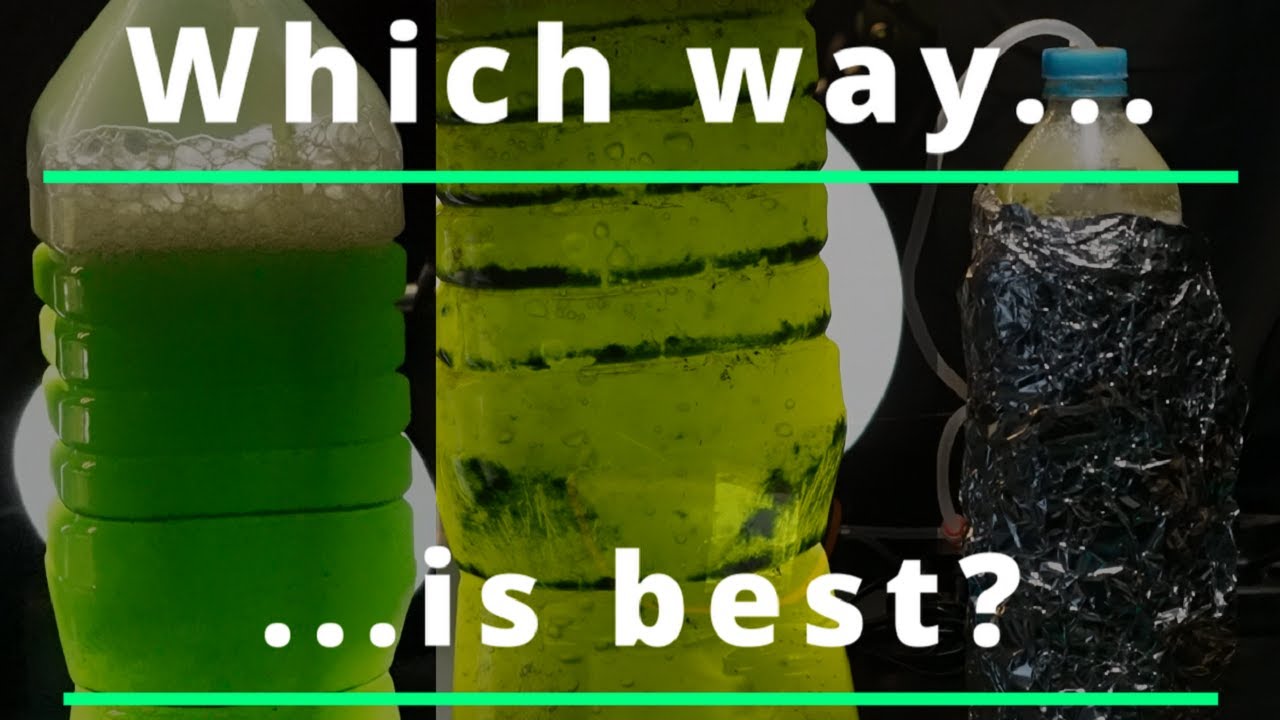 Algae Growth Modes - Autotrophic vs Mixotrophic Vs Heterotrophic