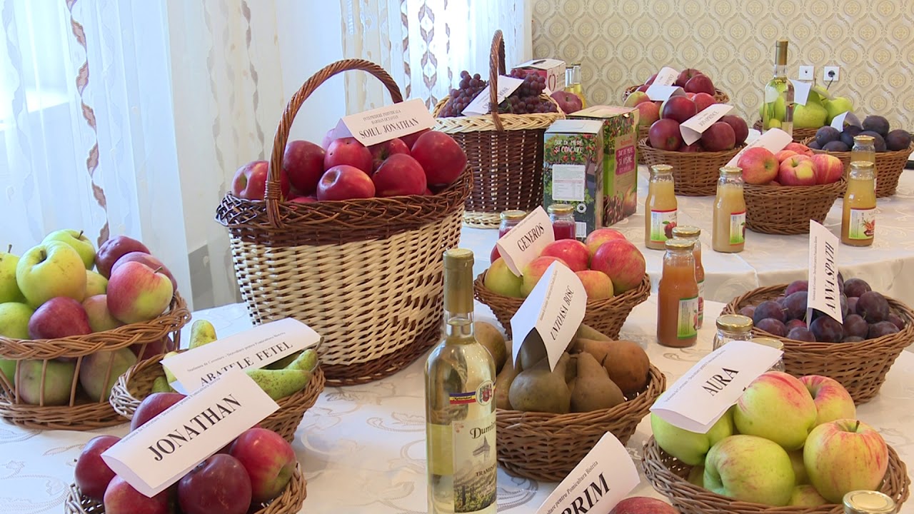 În gadina Danei: Cum plantăm pomii fructiferi (@TVR1)