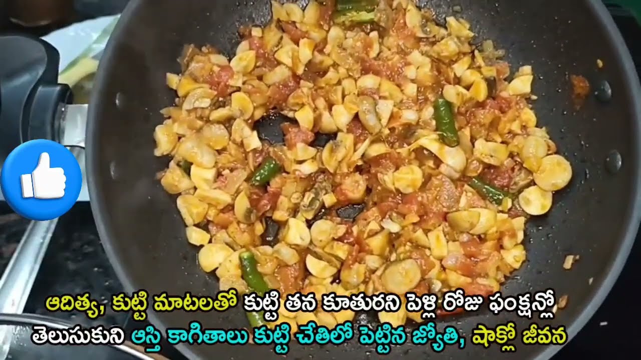 Pape maa jeevana jyothi serial today episode review\ఆస్తి కాగితాలు కుట్టి చేతిలో పెట్టిన జ్యోతి