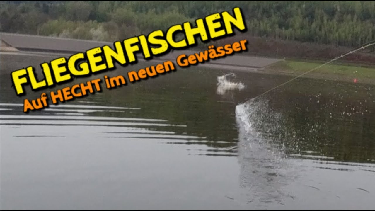 Fliegenfischen im Stausee! Geht das?