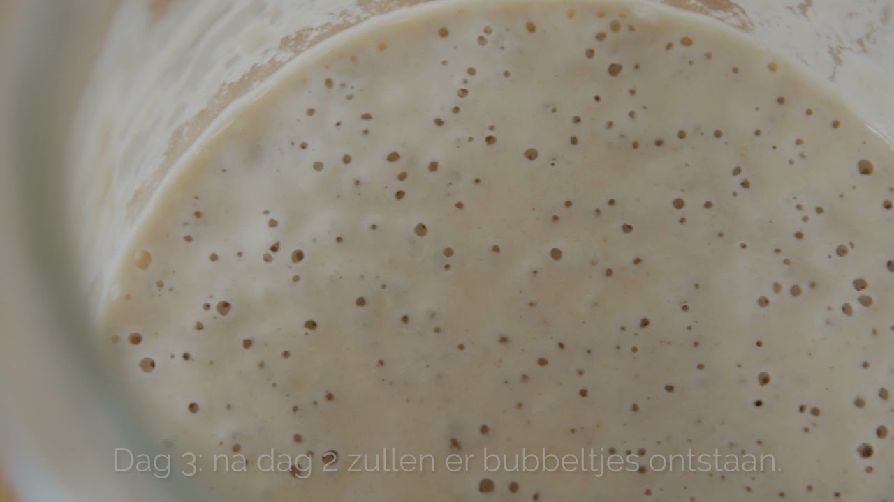 Hoe maak je een zuurdesemstarter?