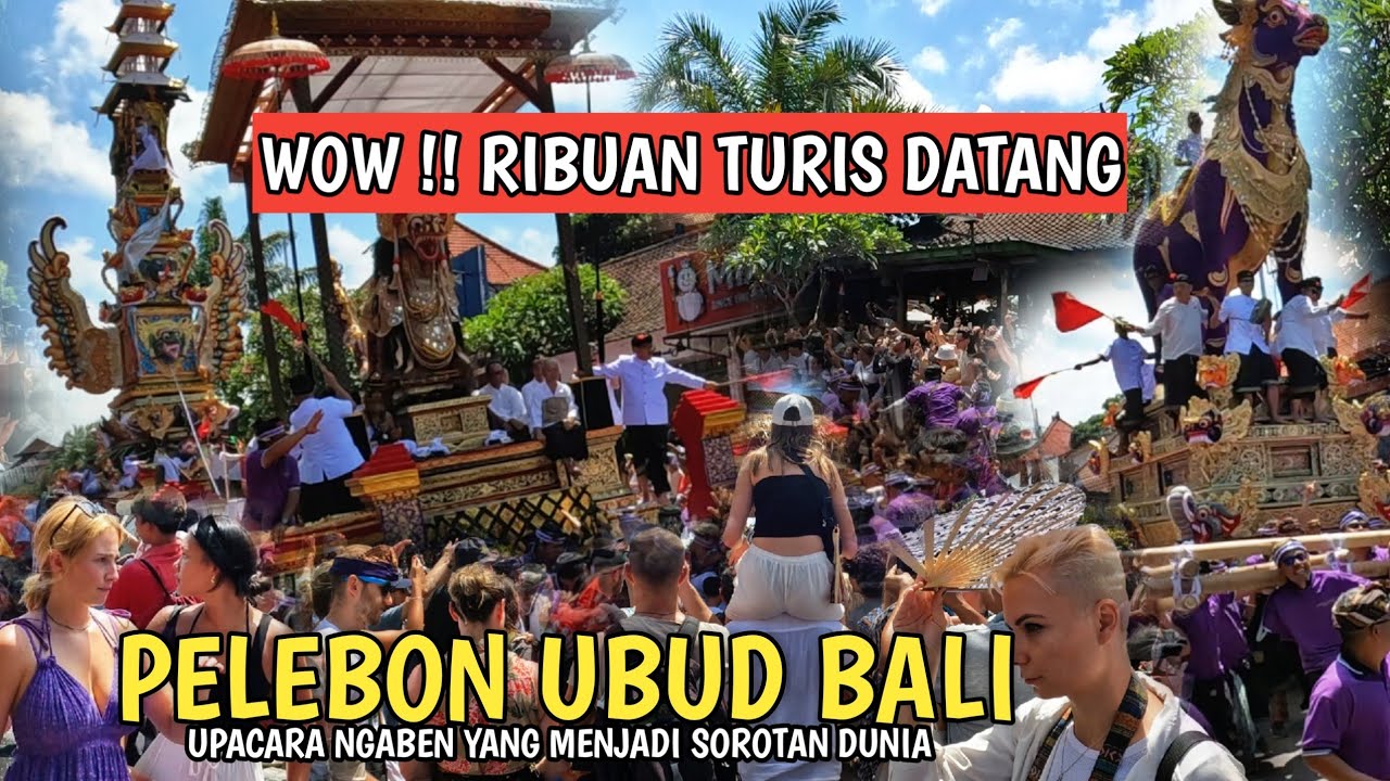 MEGAH !! RIBUAN TURIS SERBU UBUD | PELEBON PURI UBUD BALI