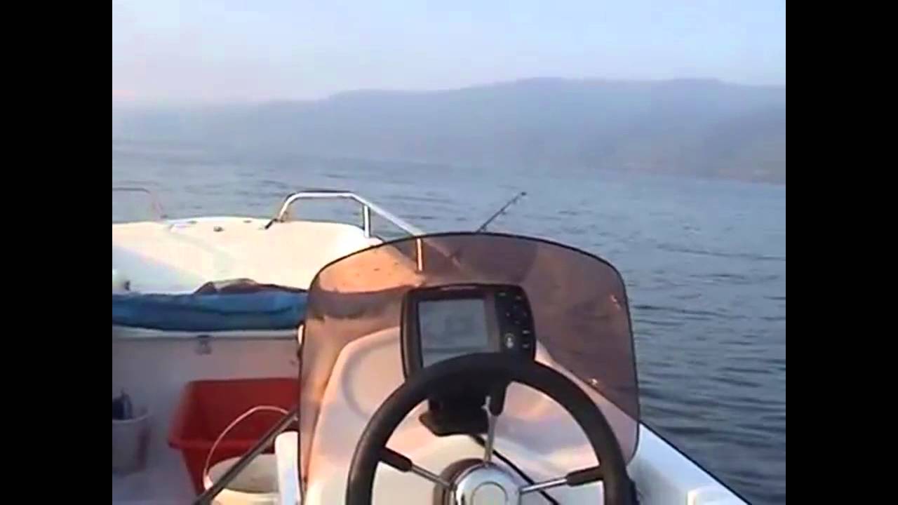 PANIC & Gvozdeni - Bućka 2007