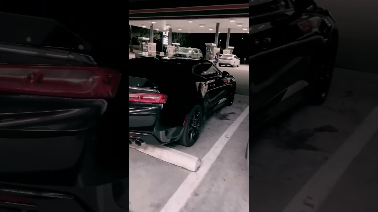 The Beasts Come Out At Night😈
