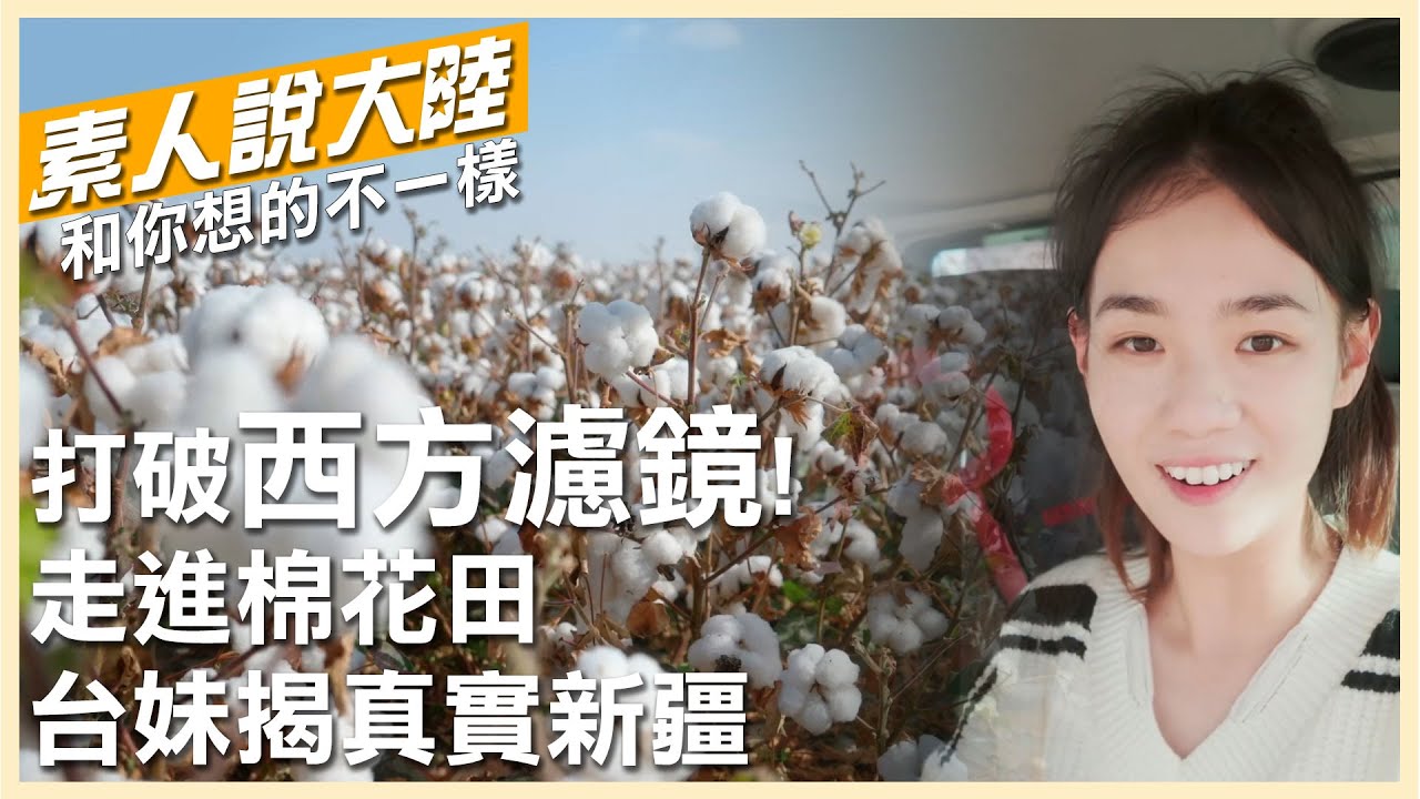眼見為憑!