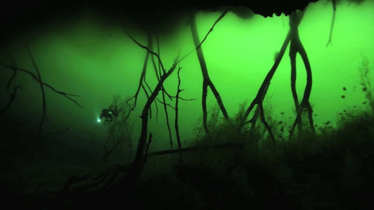 The Passage (final scene) with Guillaume N&eacute;ry