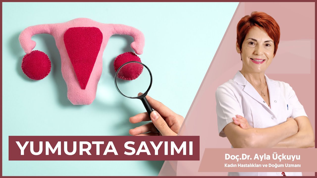 Yumurta Sayımı