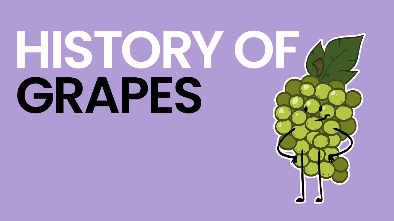 History of Grapes - What Am I Even Eating?!