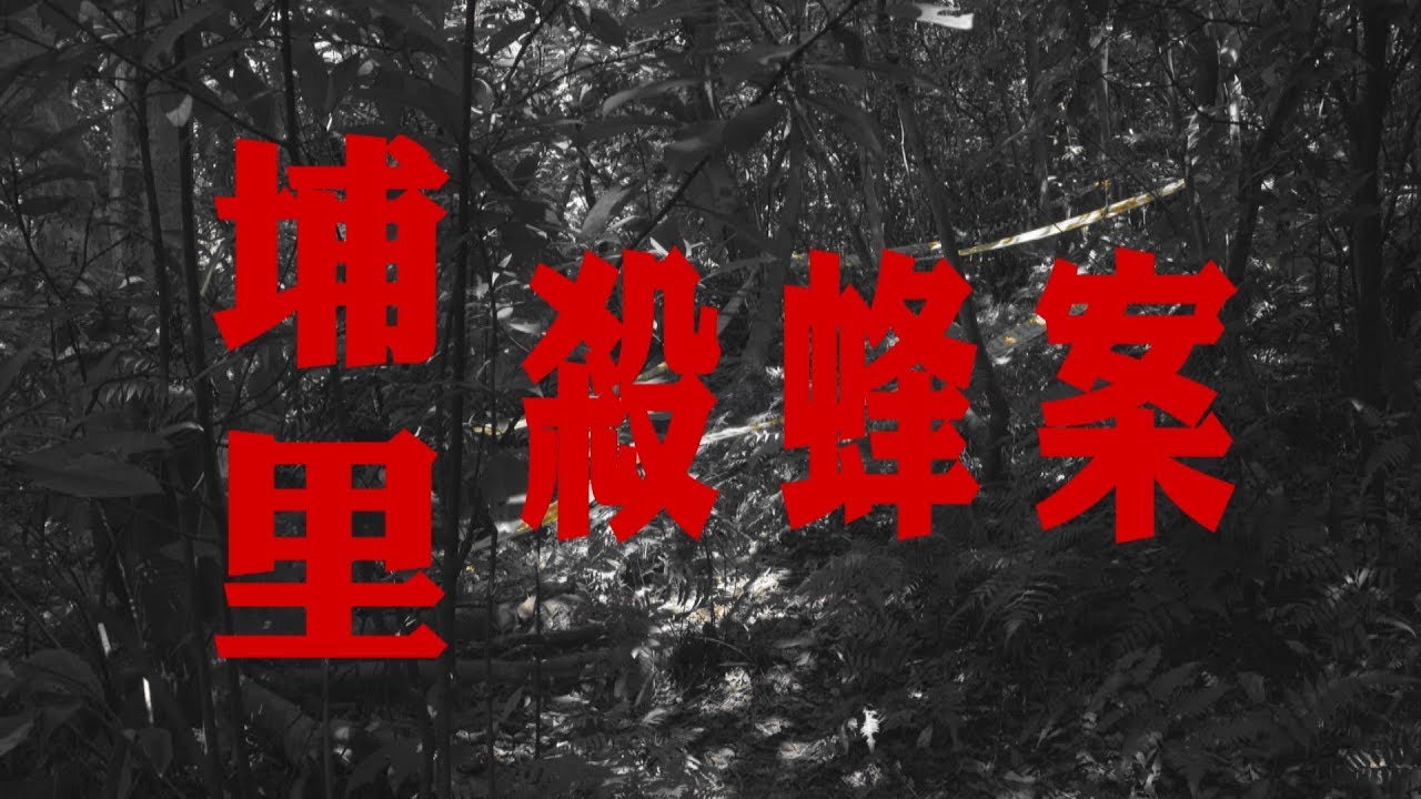 埔里殺蜂案｜蜜蜂體內的農藥哪裡來的呢？ (我們的島 第1023集 2019-09-30)