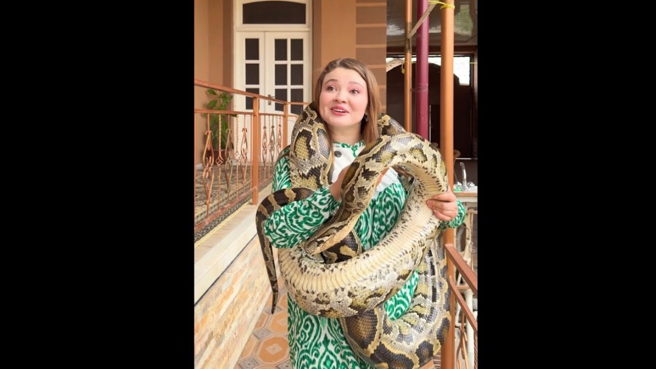 Zooparkdagi kelin bunaqasi aniq yo'q 😂😂 #uzbekiston #vineuz #umidzebo #umidvines #zeboraximova 