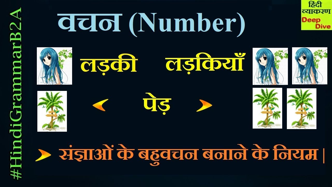 Vachan Hindi Grammar | Vachan badlo | Hindi Grammar Vachan rules