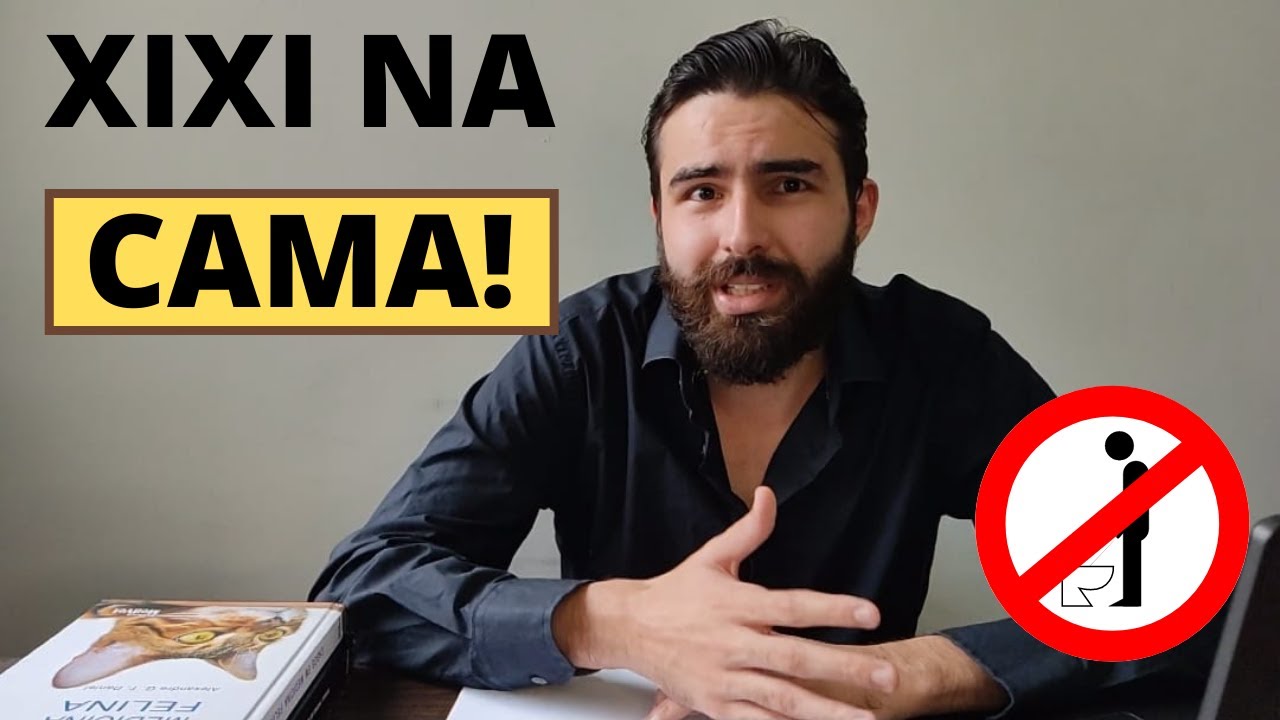 POR QUE OS GATOS FAZEM XIXI NA CAMA?