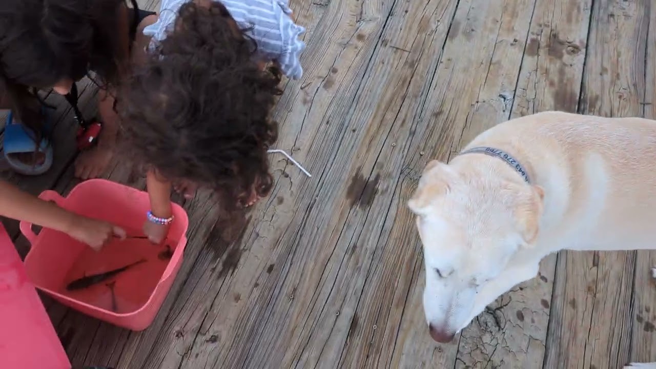 Crabbing, Casting Nets, and Shrimping with the Kids