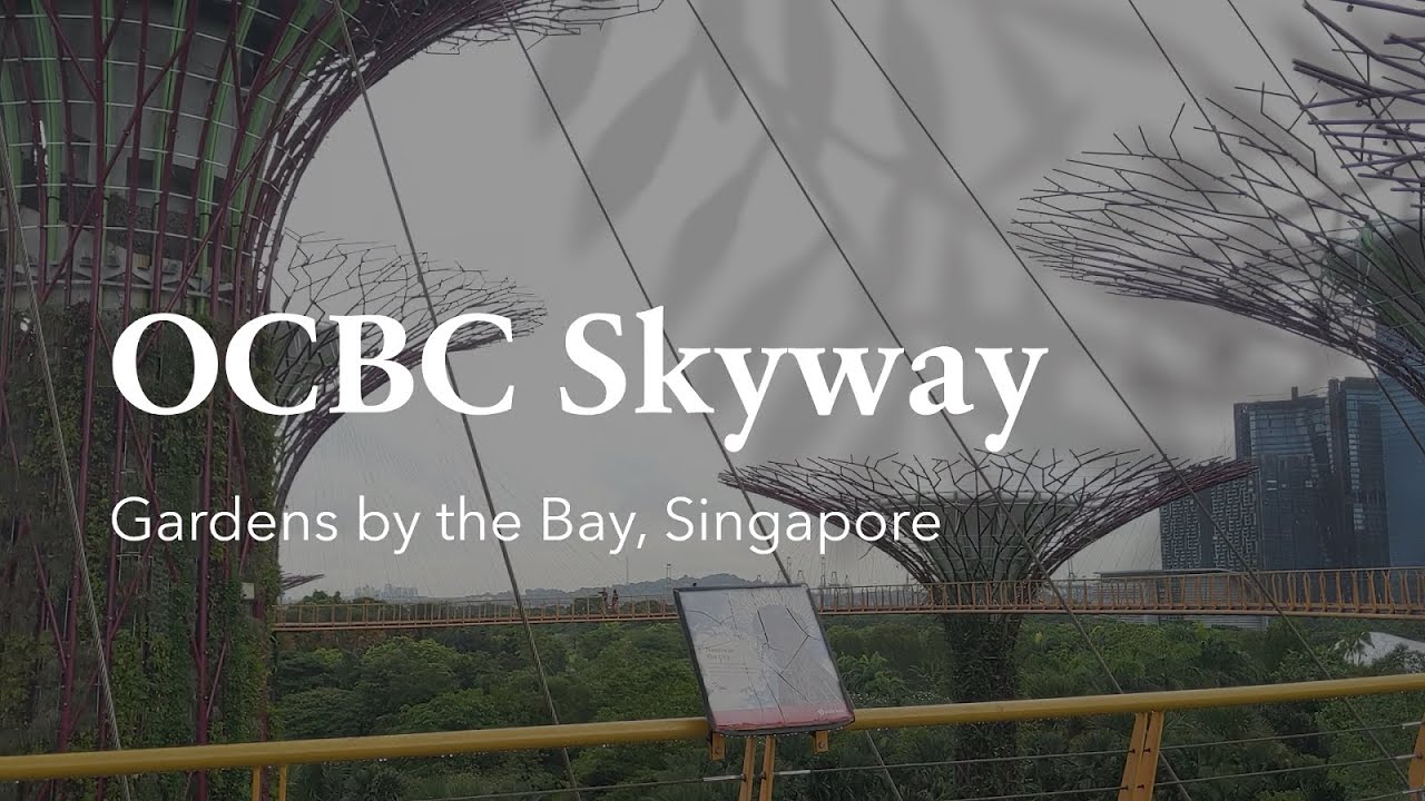 OCBC SKYWAY || GARDENS BY THE BAY || SINGAPORE #ocbcskyway #gardensbythebay #singapore