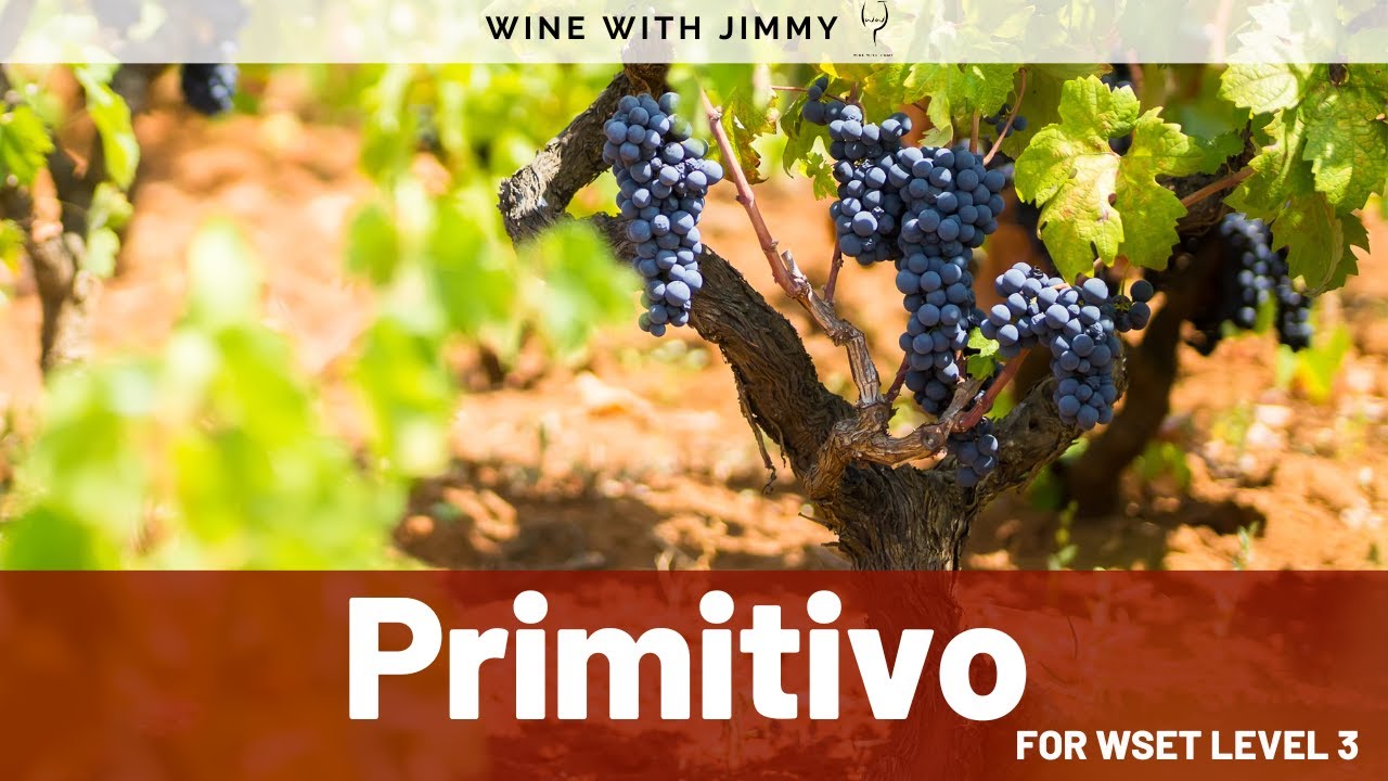 🍷 Primitivo (Zinfandel) for WSET Level 3🍷