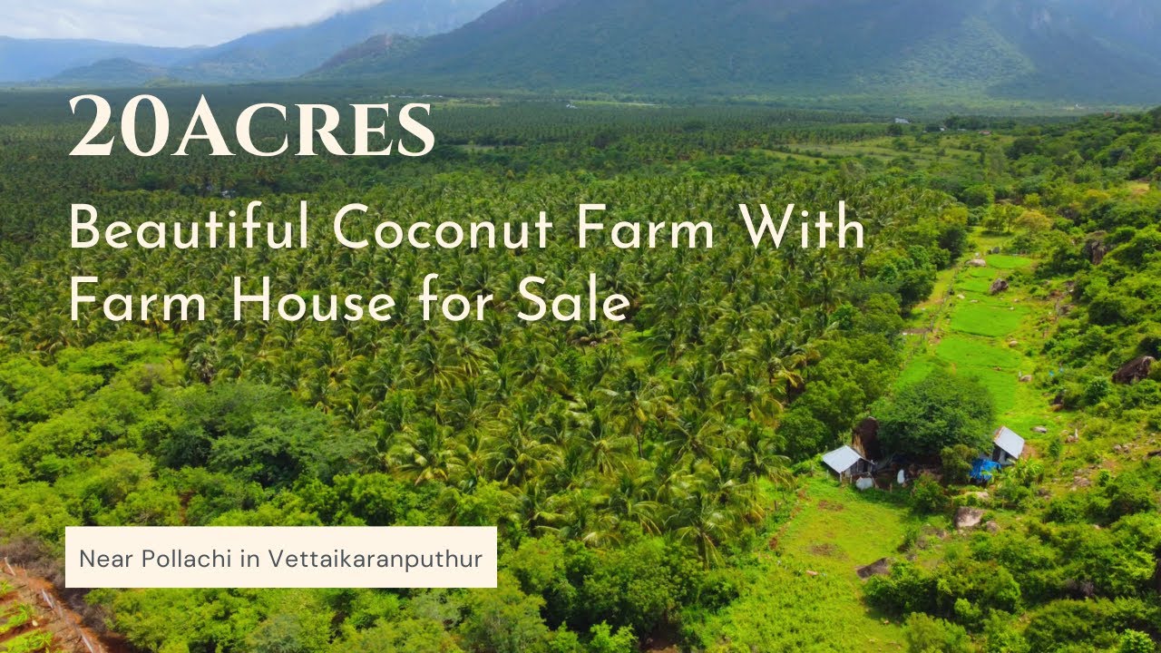 20 Acres Beautiful Coconut Farm with Farm House for Sale @Pollachi  அழகிய தென்னந்தோப்பு விற்பனைக்கு