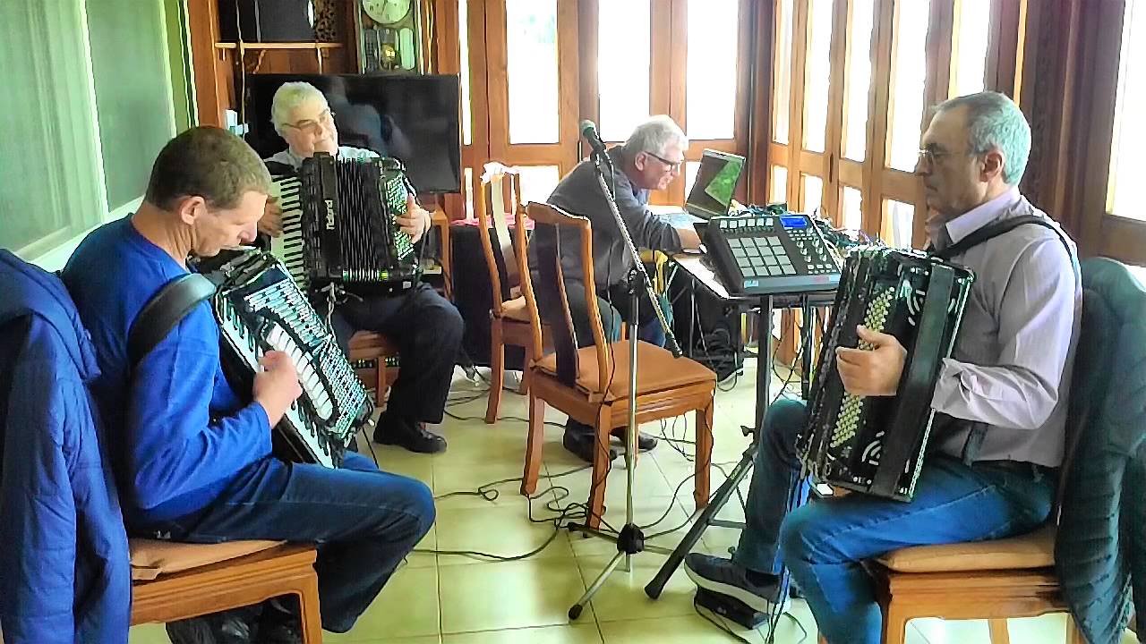 Accordion and Much more 4