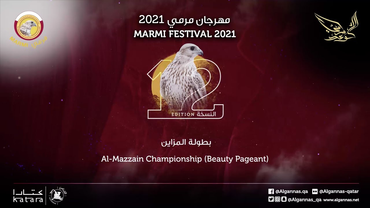 بطولة المزاين - مهرجان مرمي ٢٠٢١