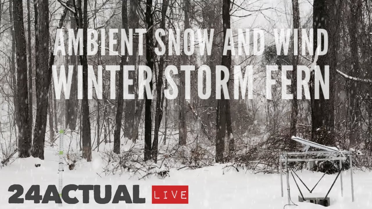 Relaxing Day into Night Winter Storm (Fern) Stream - Snowy New England Woods