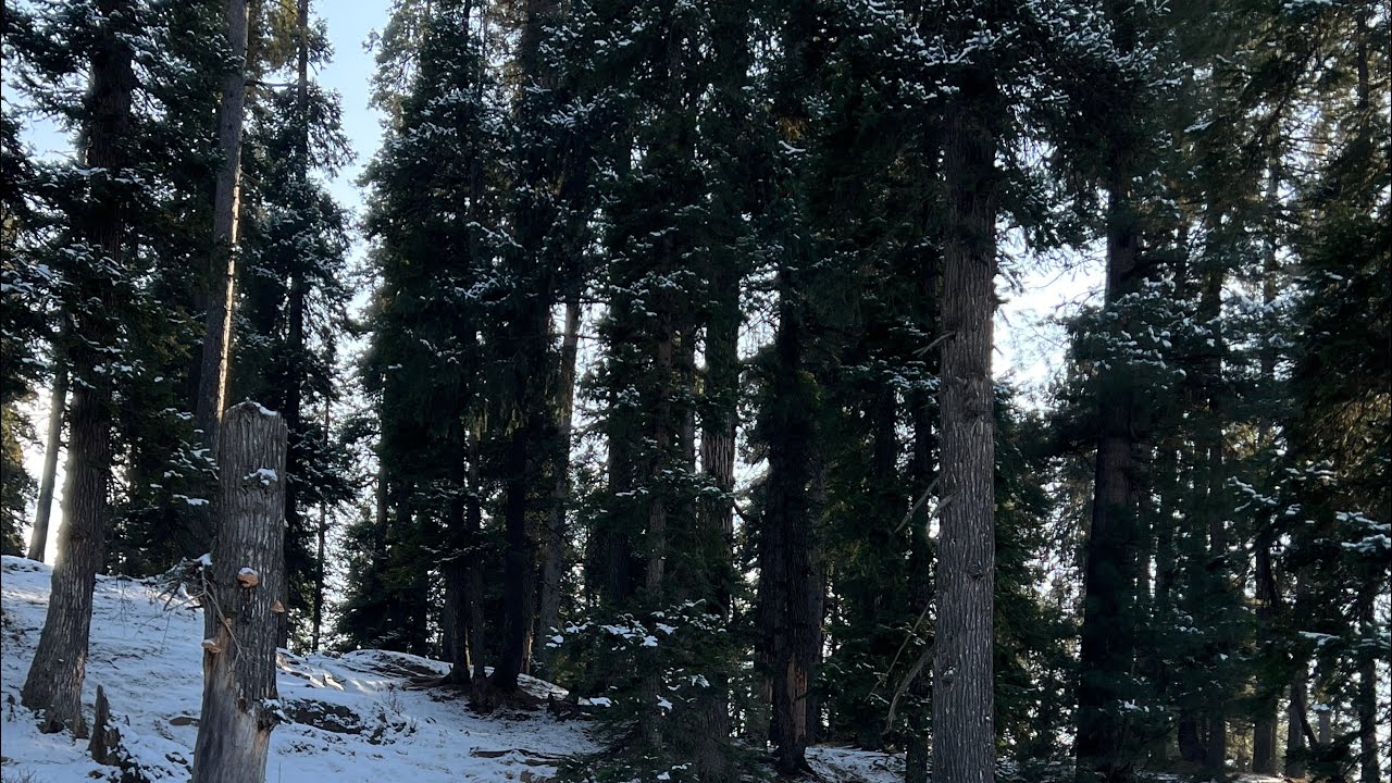 Kashmir diaries #3 #sonmarg