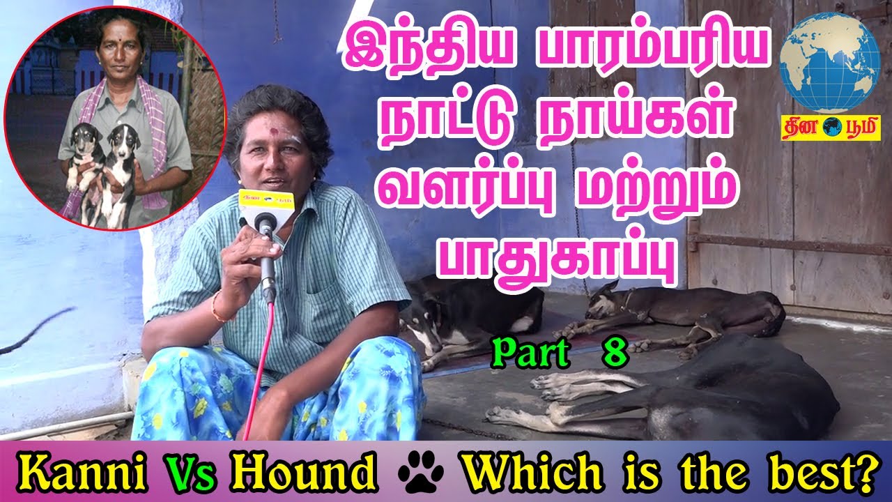 Kanni | இந்தியாவின் பாரம்பரிய நாட்டு நாய்கள் வளர்ப்பு | Indian Dog Breed Lover - Part 8
