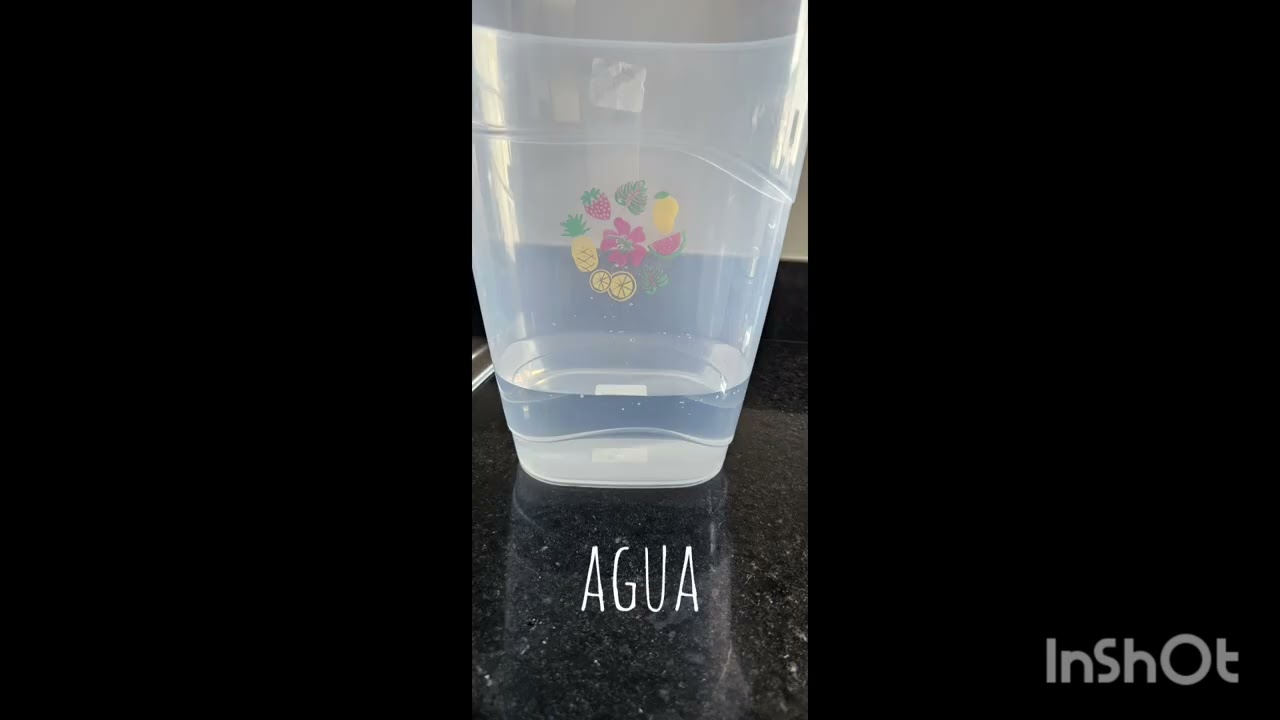 &Aacute;cido ac&eacute;tico (vinagre blanco)