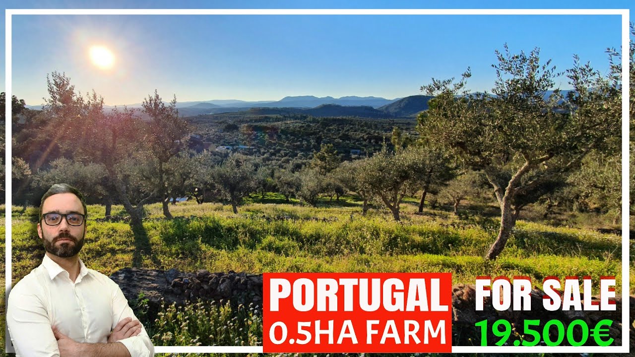 FARM FOR SALE - JUNCAL DO CAMPO - CASTELO BRANCO - PORTUGAL - 19.500€ - PROPERTY FOR SALE - QUINTA