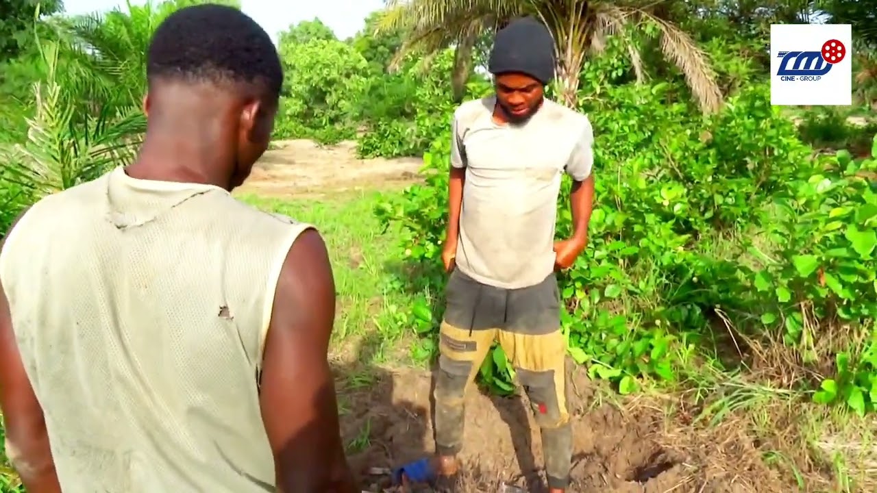 Brizz : 1er juin journée mondiale de l'arbre