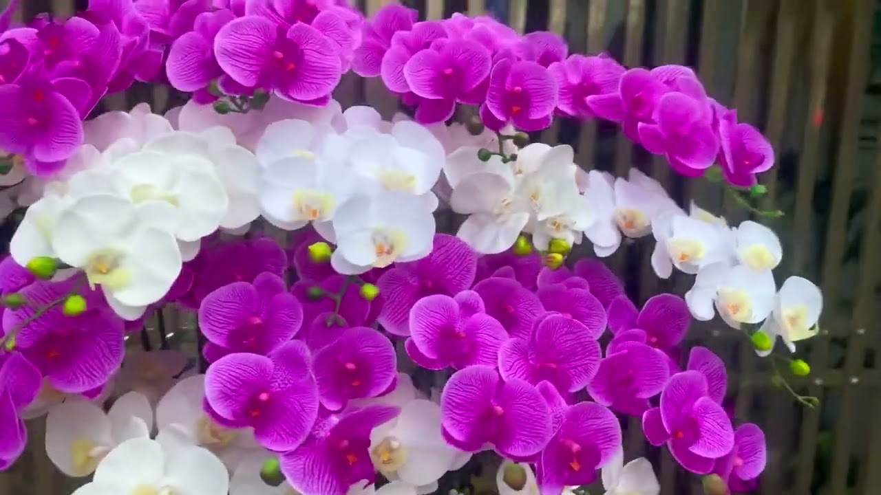 Bình hoa lụa lan hồ điệp cao cấp.
