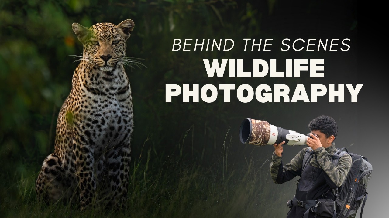 The African Wildlife Photography Experience