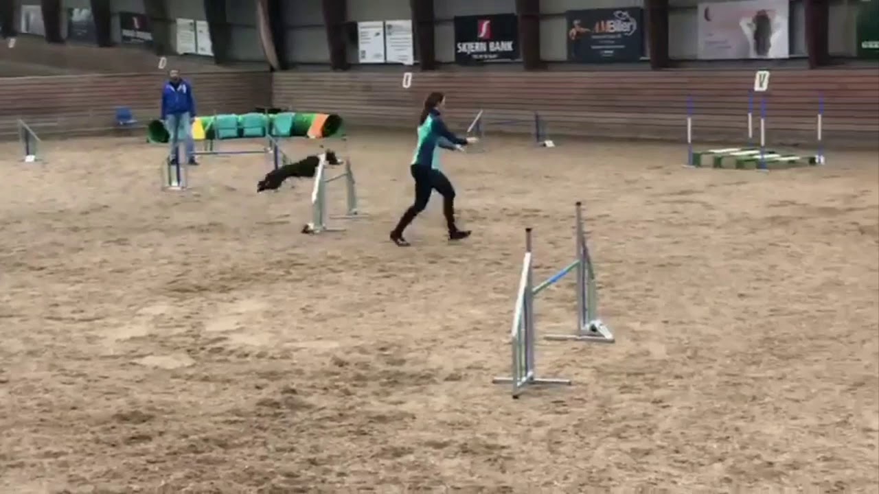 All Zet Do Da Flip - Ribe 19/10-2019