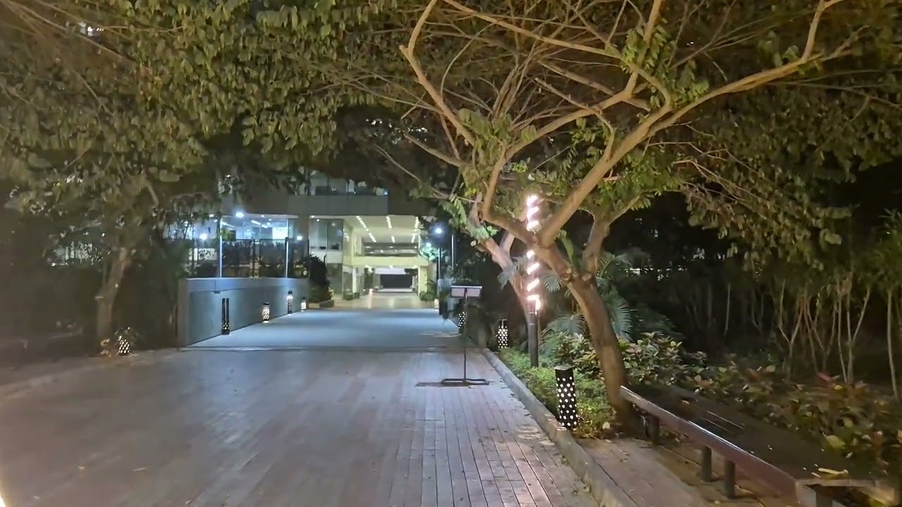 Night Walk 