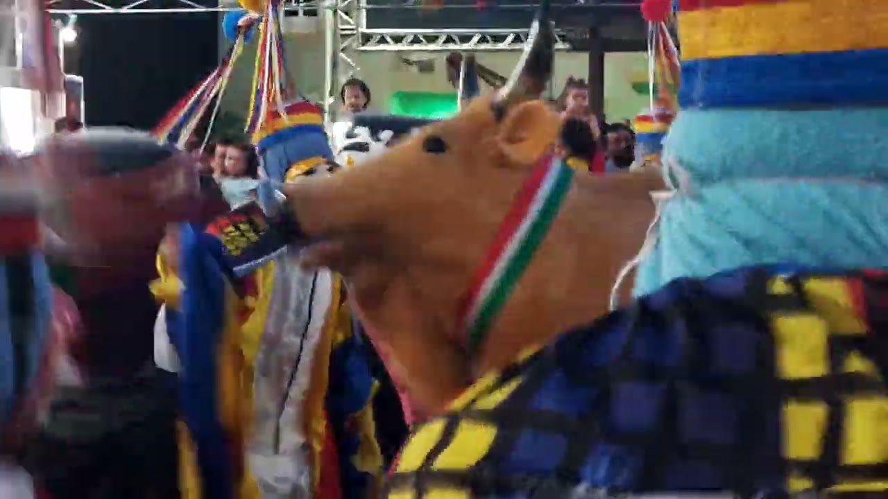 boi bicho feio são Caetano de Odivelas