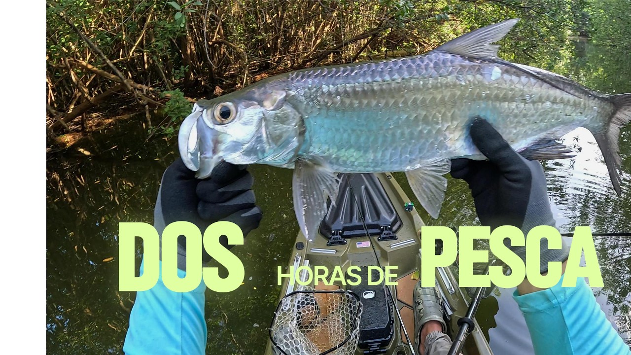 Podremos capturar algo en dos horas?#fishing #pesca