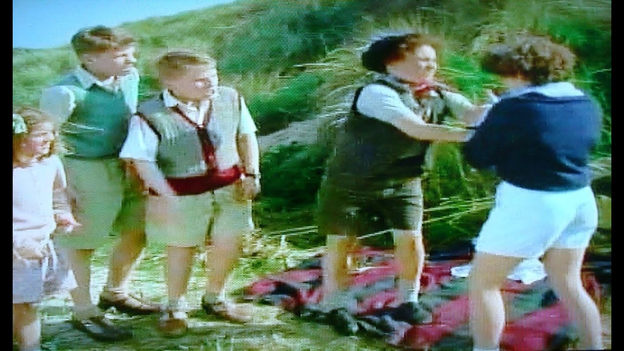 Famous Five Fall into Adventure