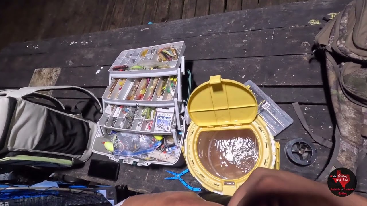 Pirates landing pier got my limit