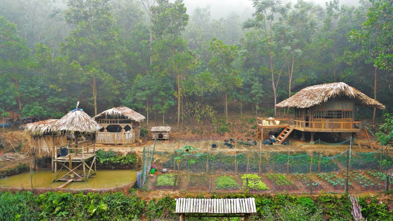 TIMELAPSE: 3 Years of Building a Farm in the Forest, P1( The Begining )