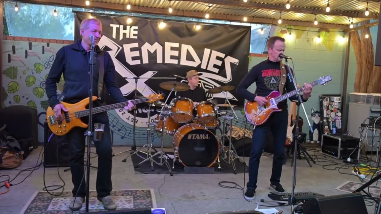 Gimme All Your Loving by The Remedies
