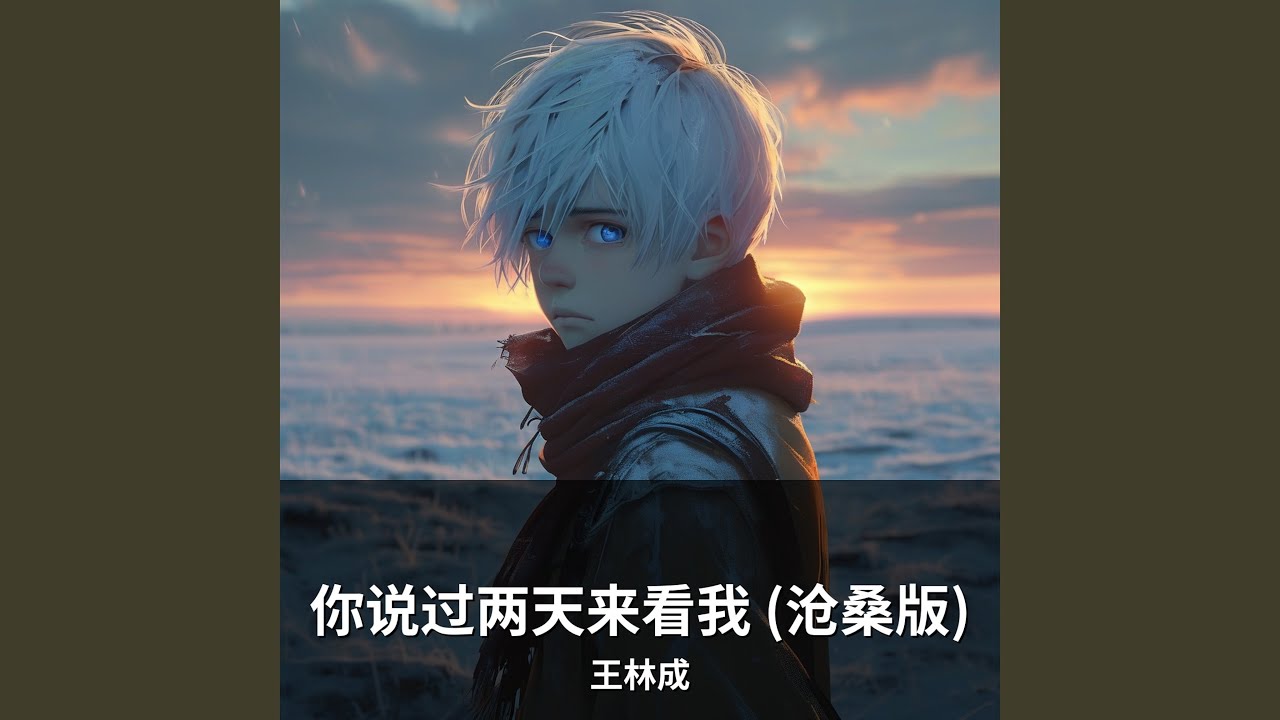 你说过两天来看我 (沧桑版)
