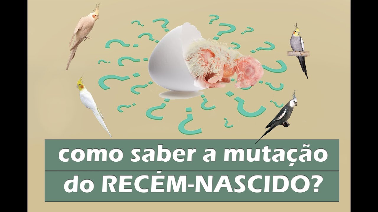 Como identificar a muta&ccedil;&atilde;o dos rec&eacute;m-nascidos?