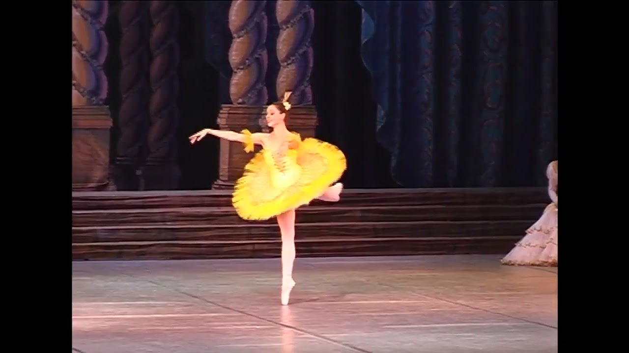第2ヴァリアション「ドン・キホーテ」ロストフ音楽劇場バレエ　 Don Quixote  Rostov State Music Theater　44 47