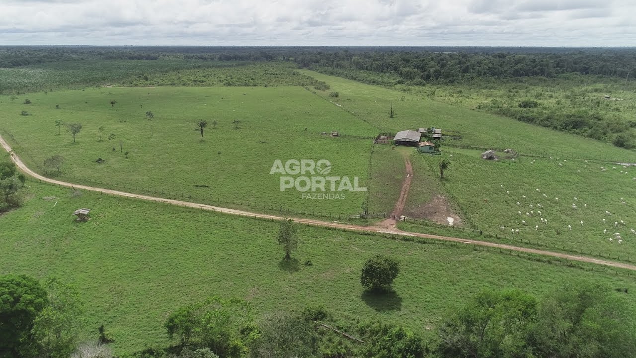 PORTEIRA FECHADA NO MOJU! Fazenda de 723 ha com Açaí, Energia Solar e Estrutura Premium!