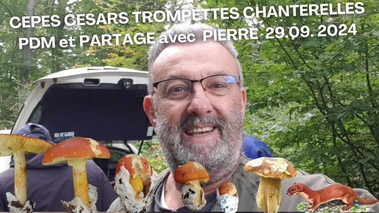 𝐂è𝐩𝐞𝐬 𝐀𝐦𝐚𝐧𝐢𝐭𝐞 𝐝𝐞𝐬 𝐂é𝐬𝐚𝐫𝐬 𝐓𝐫𝐨𝐦𝐩𝐞𝐭𝐭𝐞𝐬 𝐂𝐡𝐚𝐧𝐭𝐞𝐫𝐞𝐥𝐥𝐞𝐬 𝐏 𝐃 𝐌 𝐞𝐭 𝐩𝐚𝐫𝐭𝐚𝐠𝐞 𝐚𝐯𝐞𝐜 𝐏𝐢𝐞𝐫𝐫𝐞 𝐕𝐨𝐬𝐠𝐞𝐬 𝐩𝐥𝐚𝐢𝐧𝐞 🌳🍄🌲