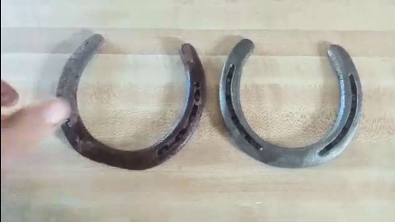 How To Clean Rust Off Horseshoes with white vinegar