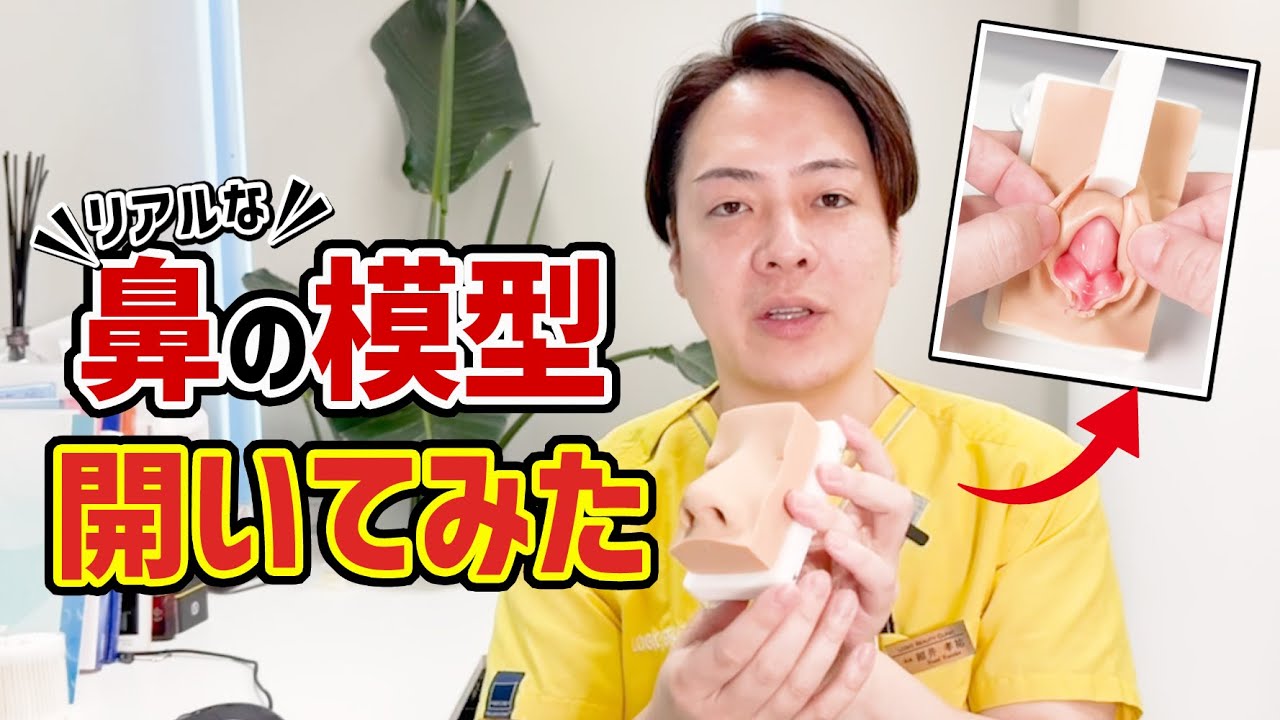 鼻の中ってどうなってるの？？オペと同じ方法で3D模型開いてみた！！@logicbeautyclinic